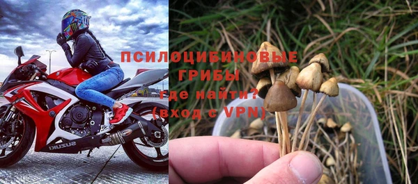дживик Кодинск