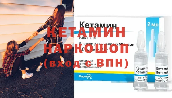трава Коряжма