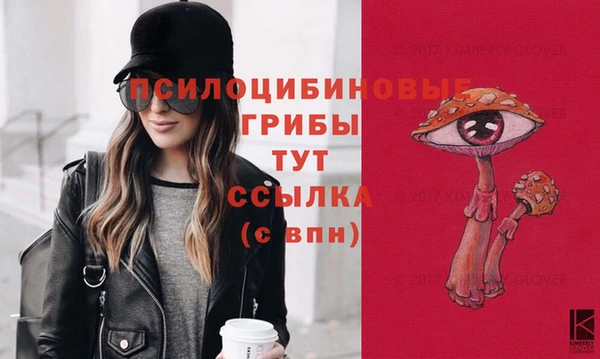 метамфетамин Козельск