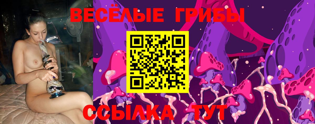 Псилоцибиновые грибы MAGIC MUSHROOMS Шатура