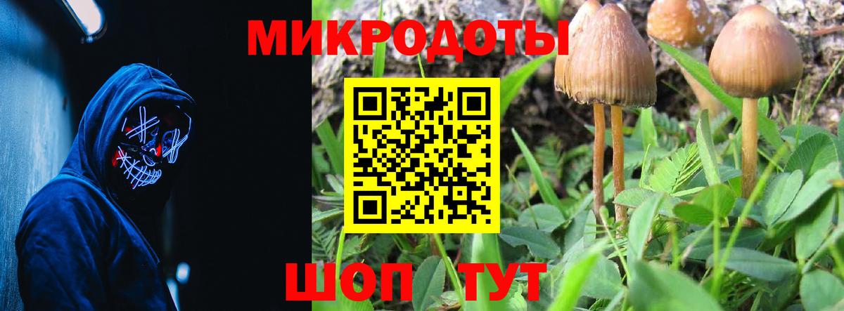 Шатура  что такое   Псилоцибиновые грибы Magic Shrooms  Вход с VPN  Галлюциногенные грибы Psilocybe 